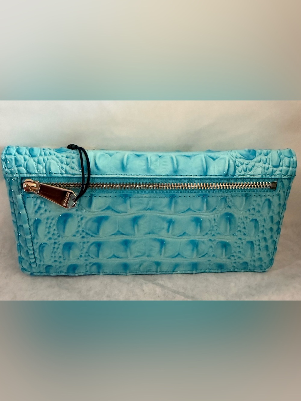 Brahmin - Picture 2 of 4